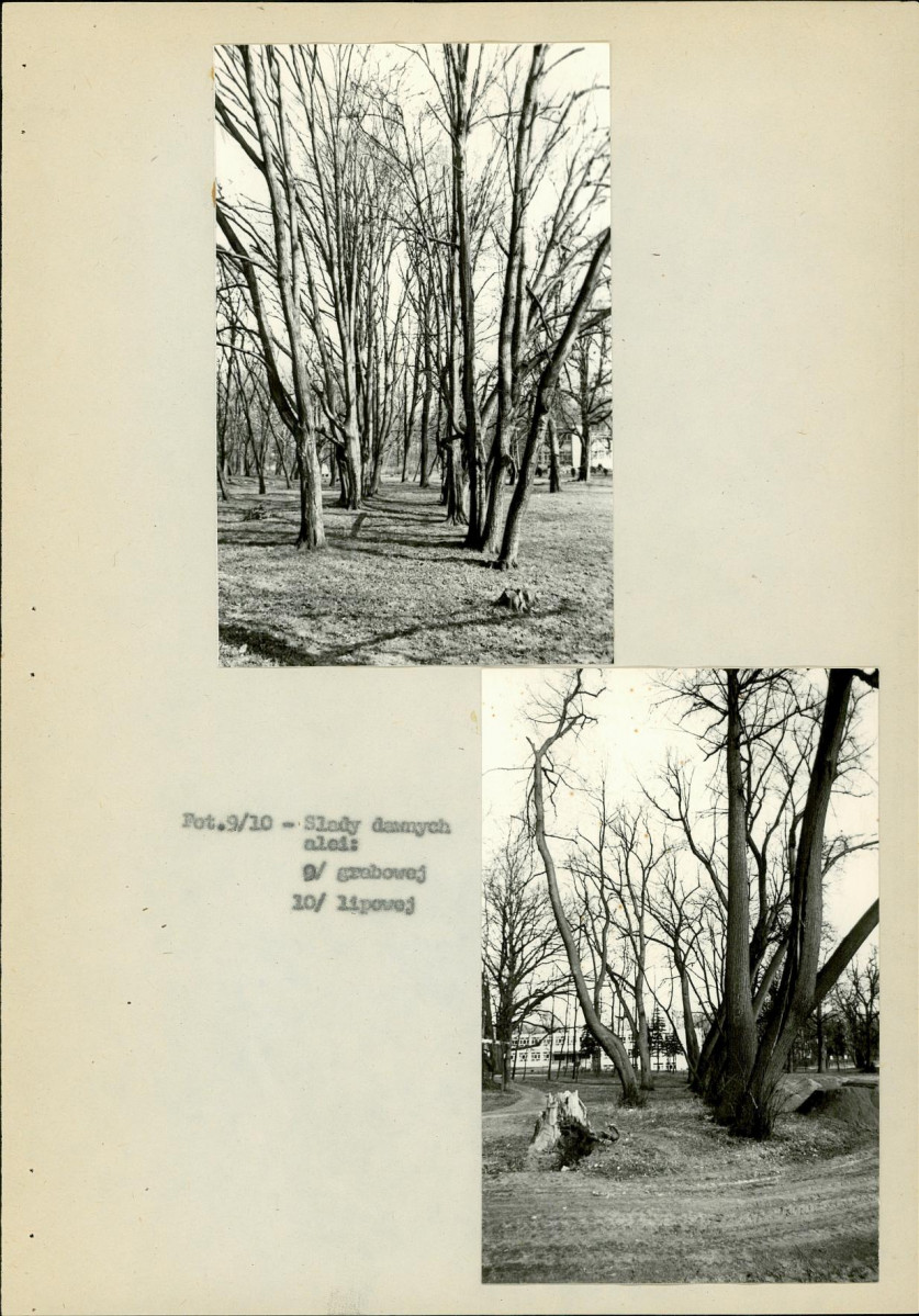 EP - Ewidencja parkowa, skan nr 39