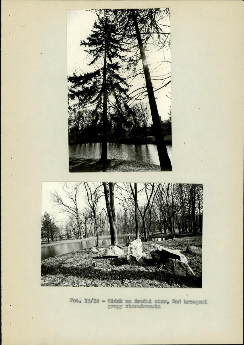 EP - Ewidencja parkowa, skan nr 41