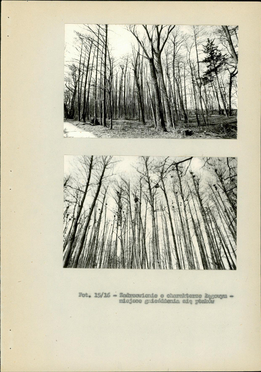 EP - Ewidencja parkowa, skan nr 42