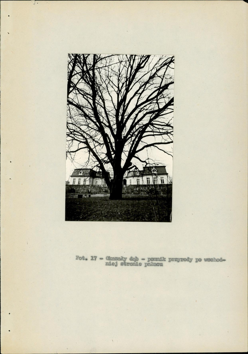 EP - Ewidencja parkowa, skan nr 43