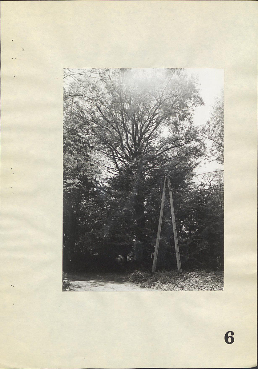 Ewidencja parkowa, skan nr 46