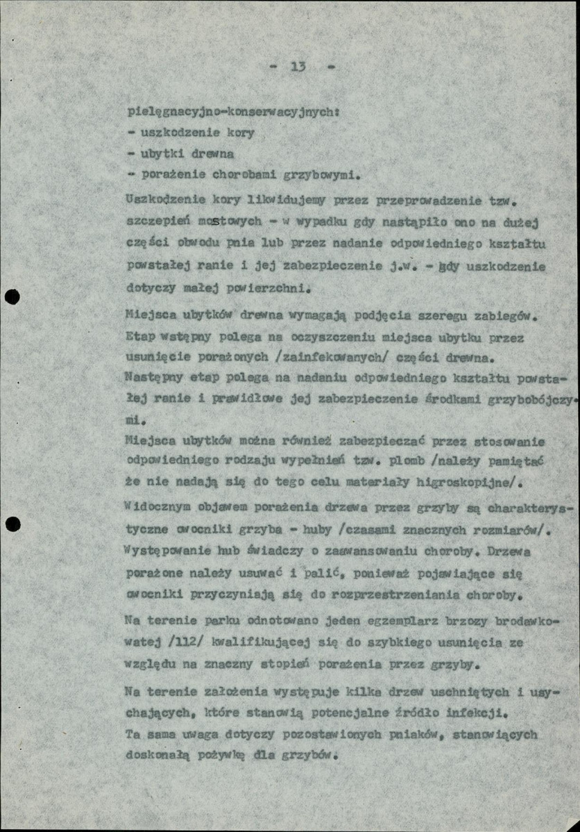 Ewidencja parkowa, skan nr 19
