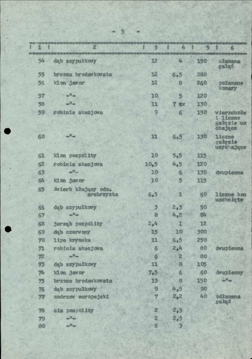 Ewidencja parkowa, skan nr 32