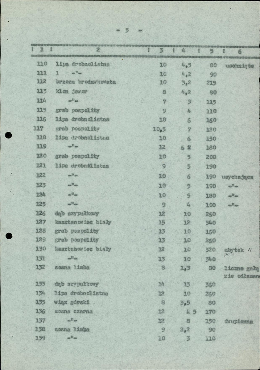 Ewidencja parkowa, skan nr 34