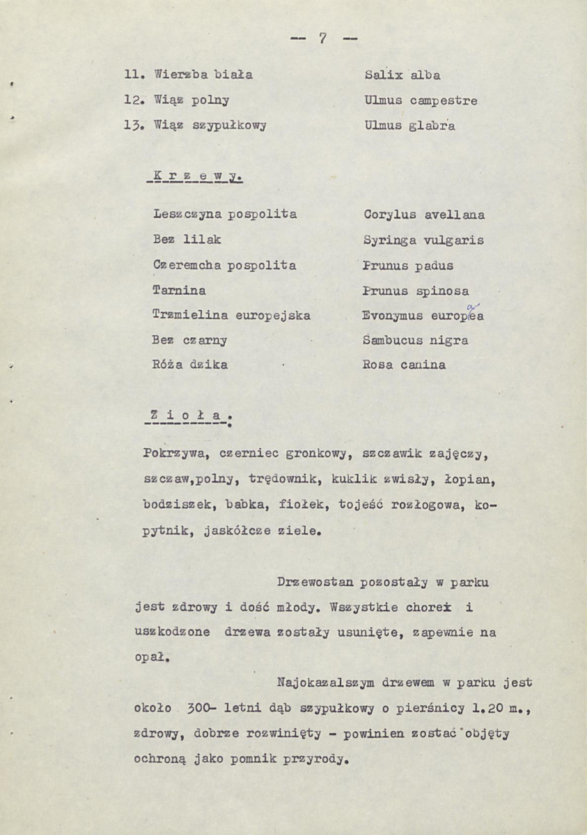 Ewidencja parkowa, skan nr 13