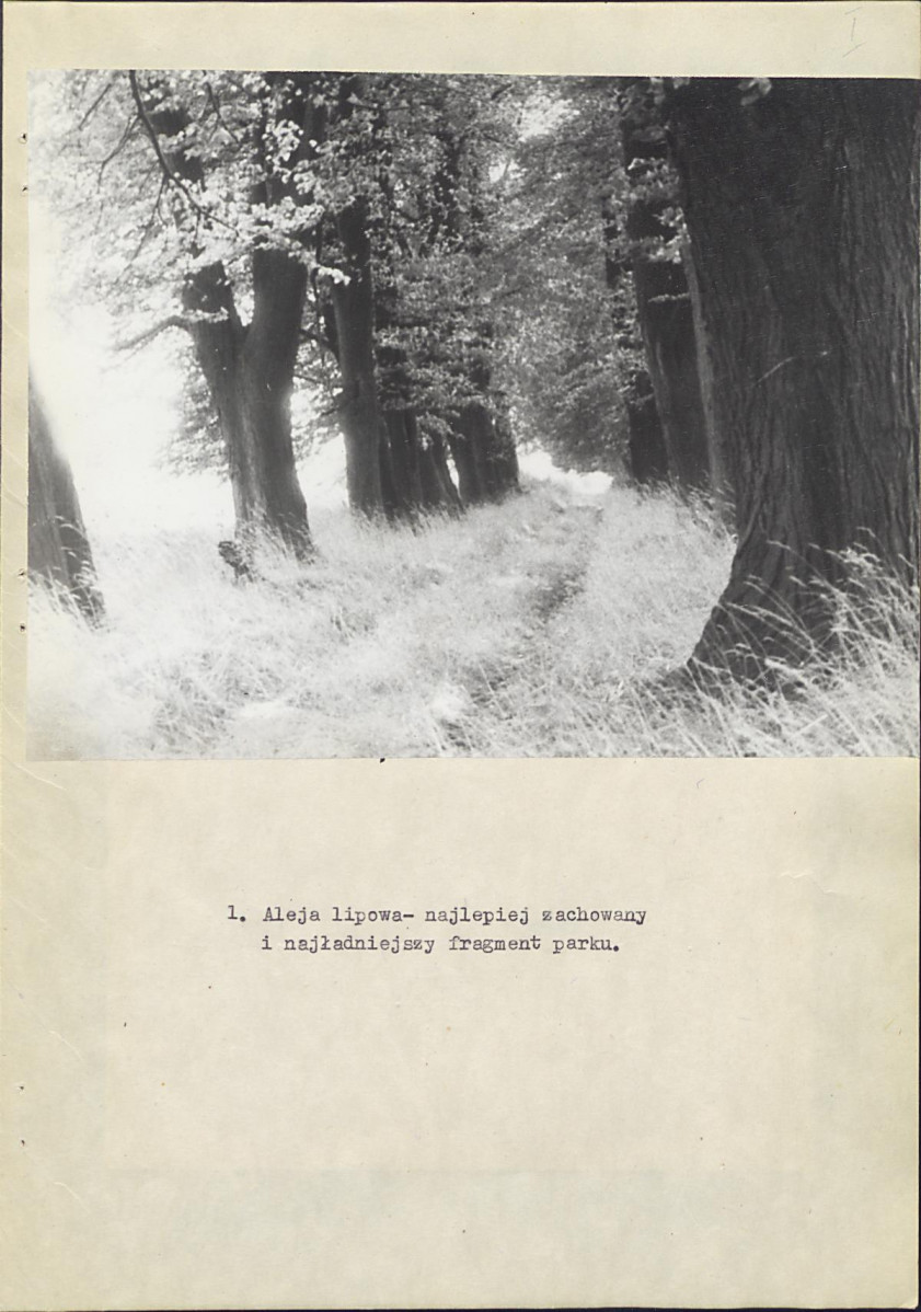 Ewidencja parkowa, skan nr 19