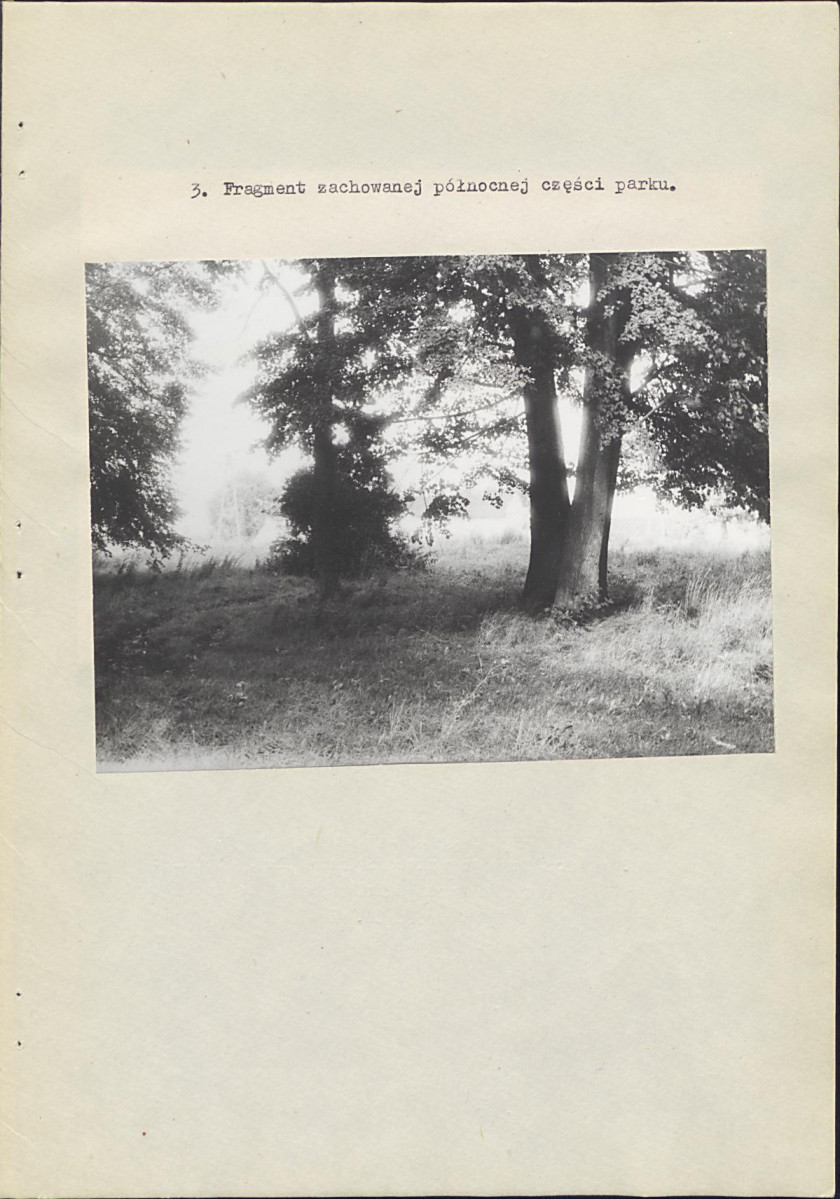 Ewidencja parkowa, skan nr 21