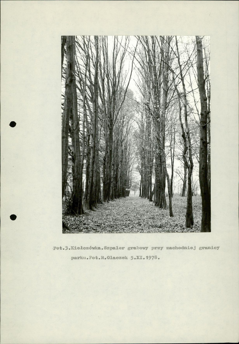EP - Ewidencja parkowa, skan nr 13