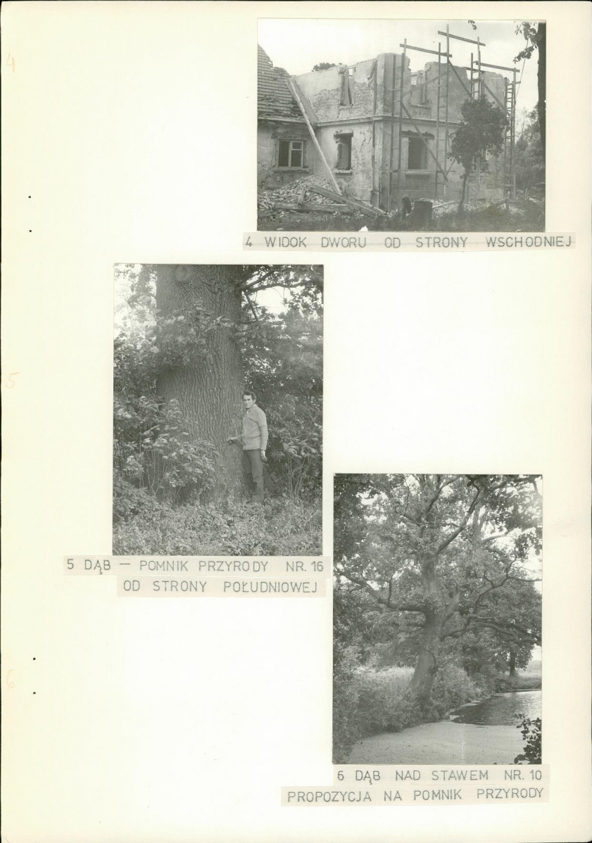 EP - Ewidencja parkowa, skan nr 21