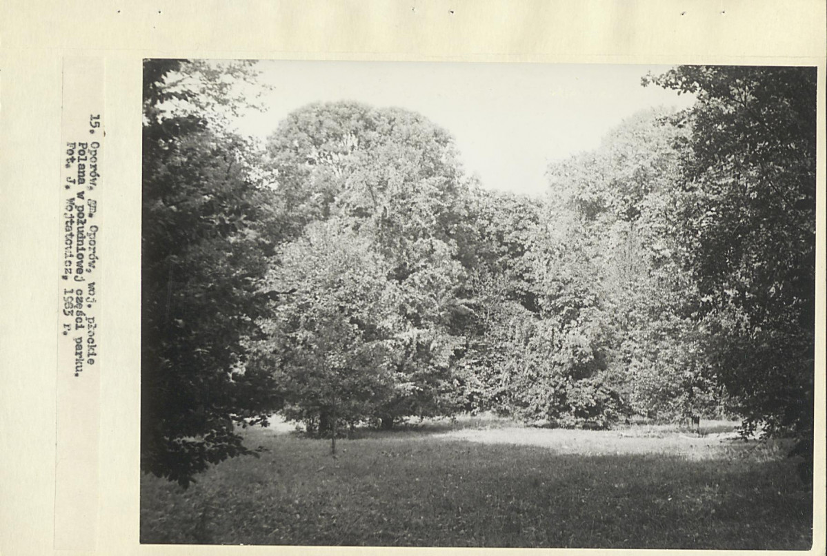 Ewidencja parkowa, skan nr 37
