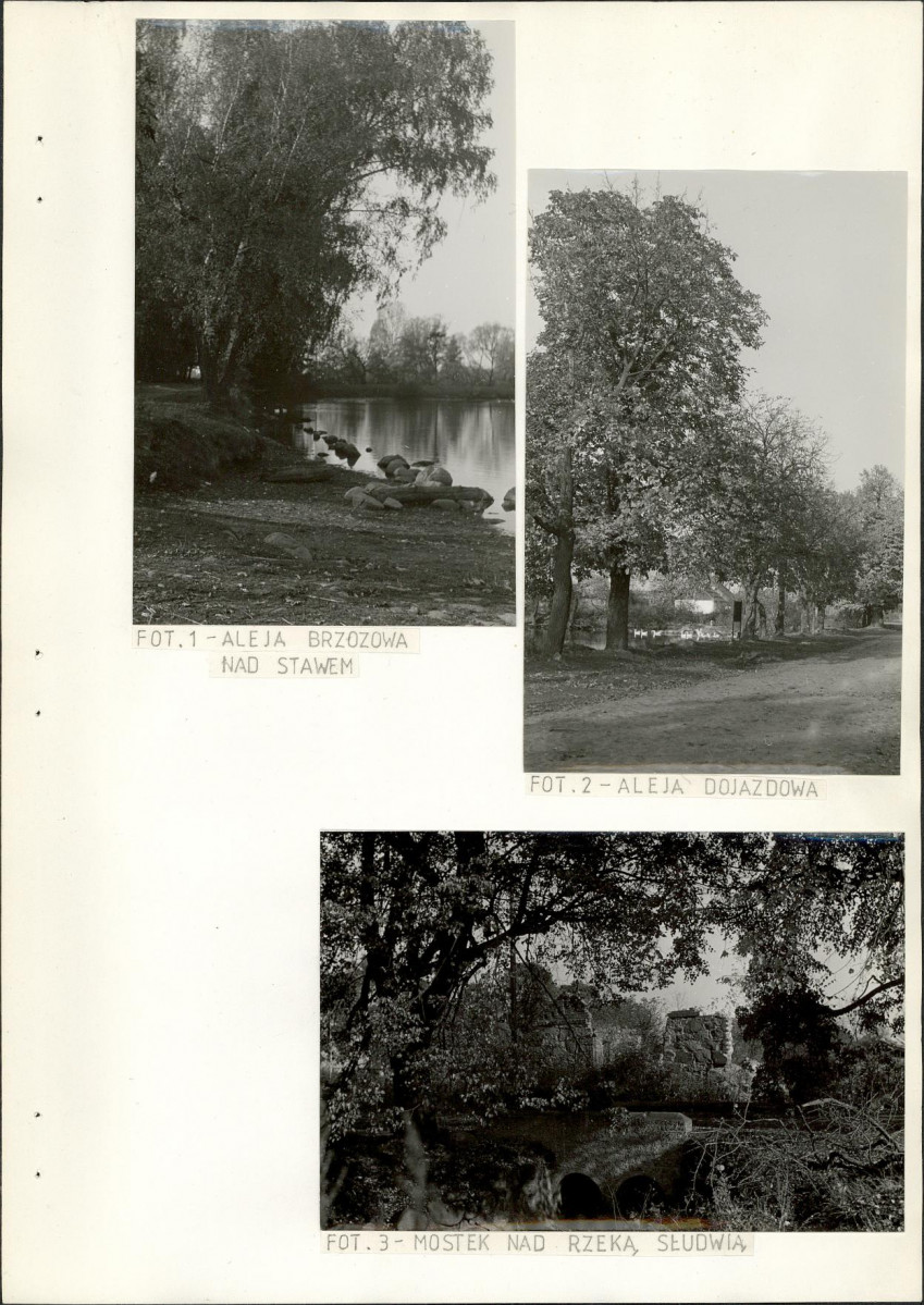 Ewidencja parkowa, skan nr 21