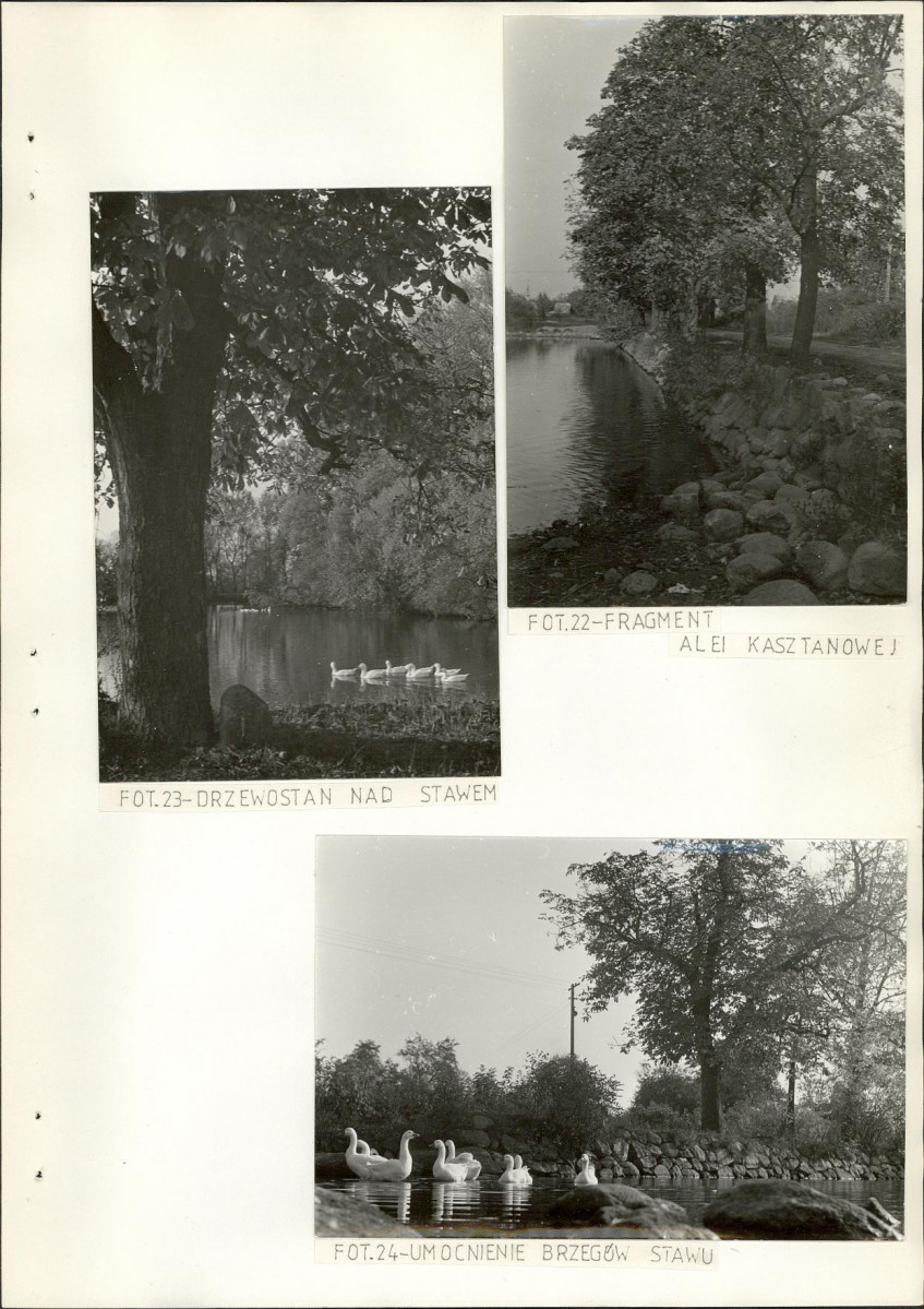 Ewidencja parkowa, skan nr 28