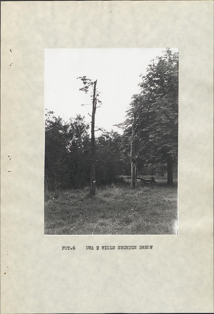 EP - Ewidencja parkowa, skan nr 20