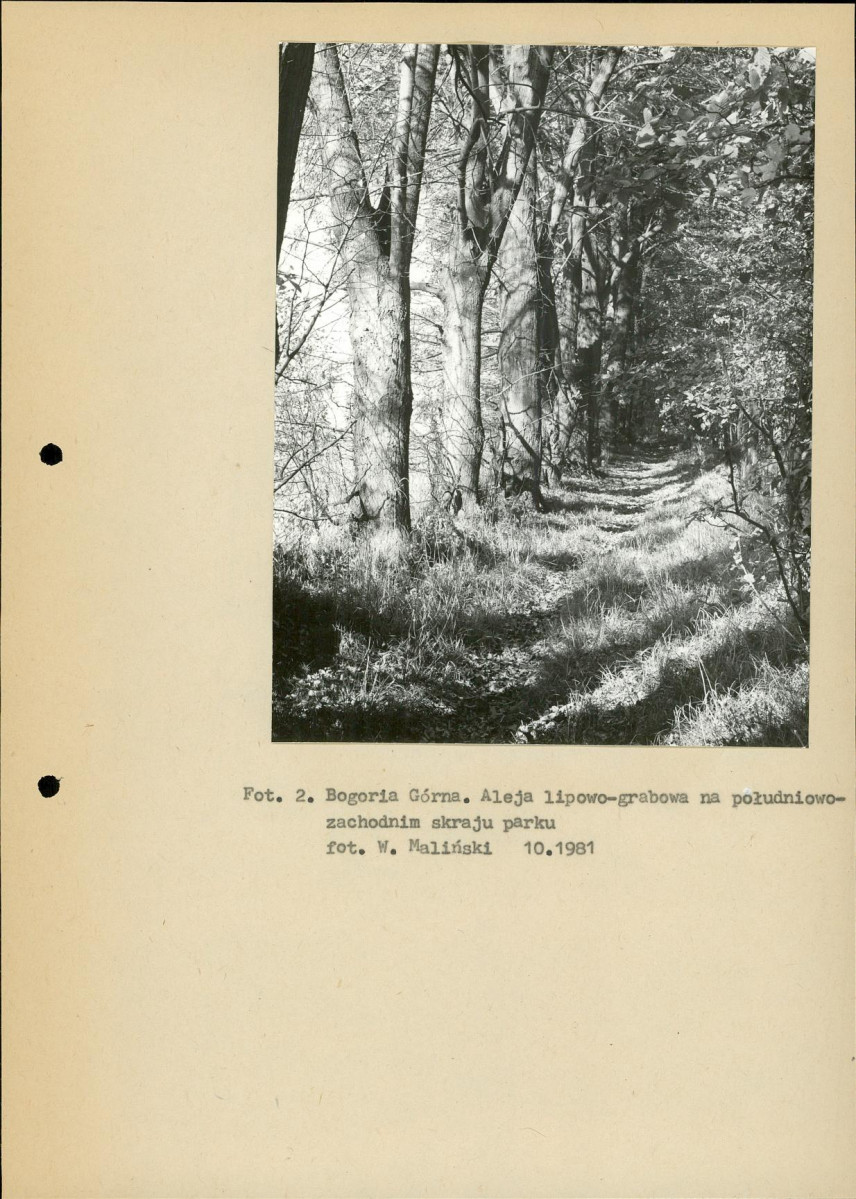 EP - Ewidencja parkowa, skan nr 12