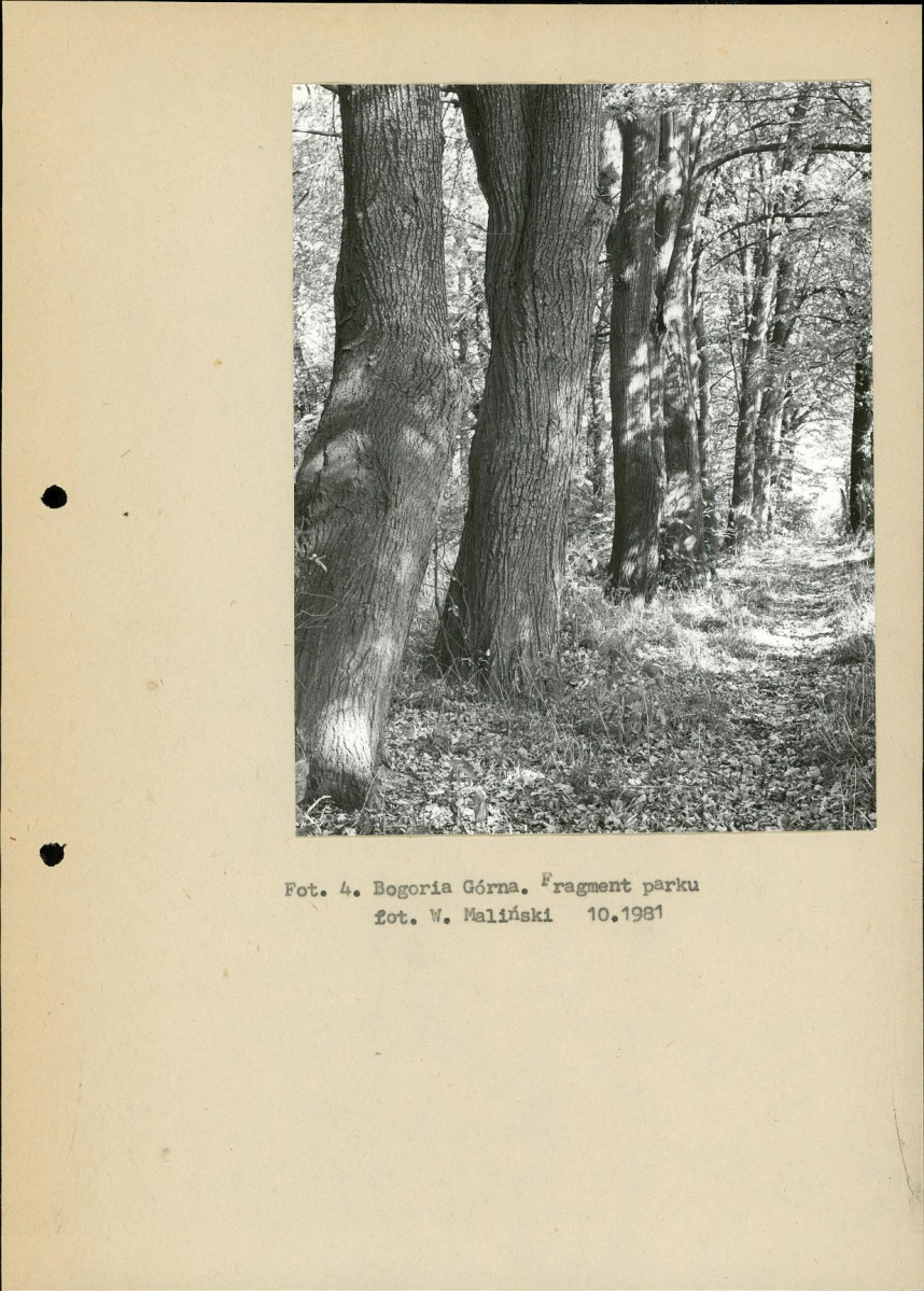 EP - Ewidencja parkowa, skan nr 14