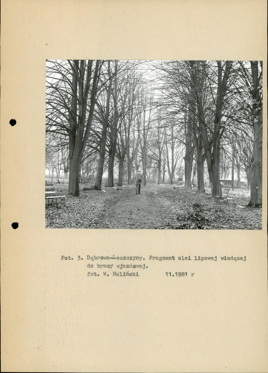 Ewidencja parkowa, skan nr 13