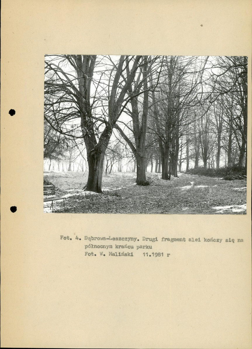 Ewidencja parkowa, skan nr 14