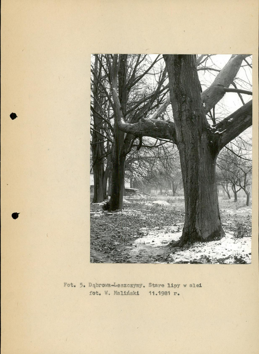 Ewidencja parkowa, skan nr 15