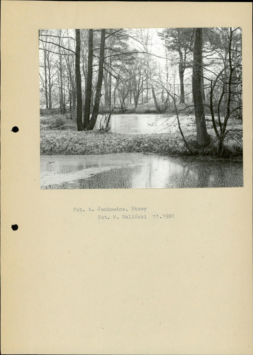 EP - Ewidencja parkowa, skan nr 13
