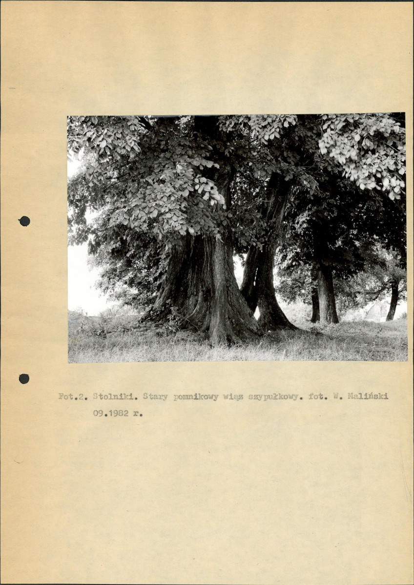 Ewidencja parkowa, skan nr 11