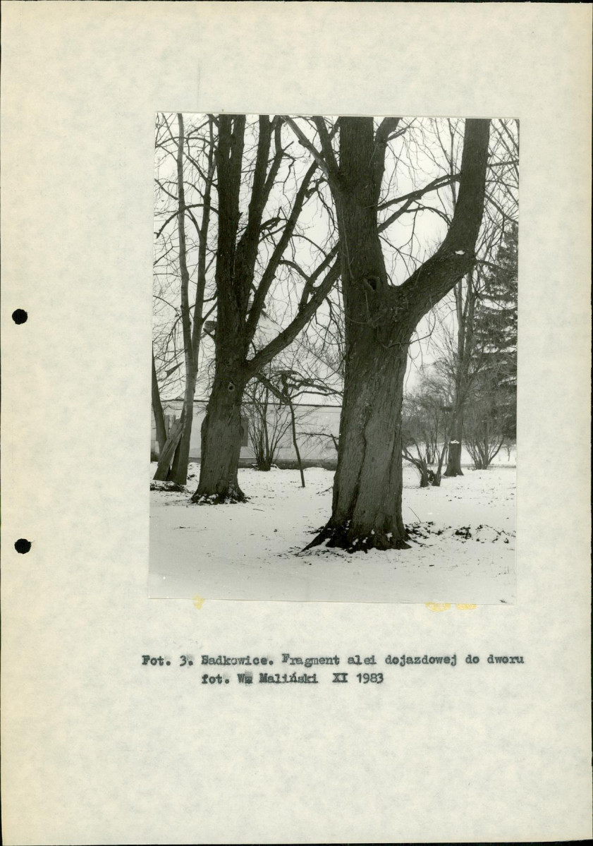 EP - Ewidencja parkowa, skan nr 13