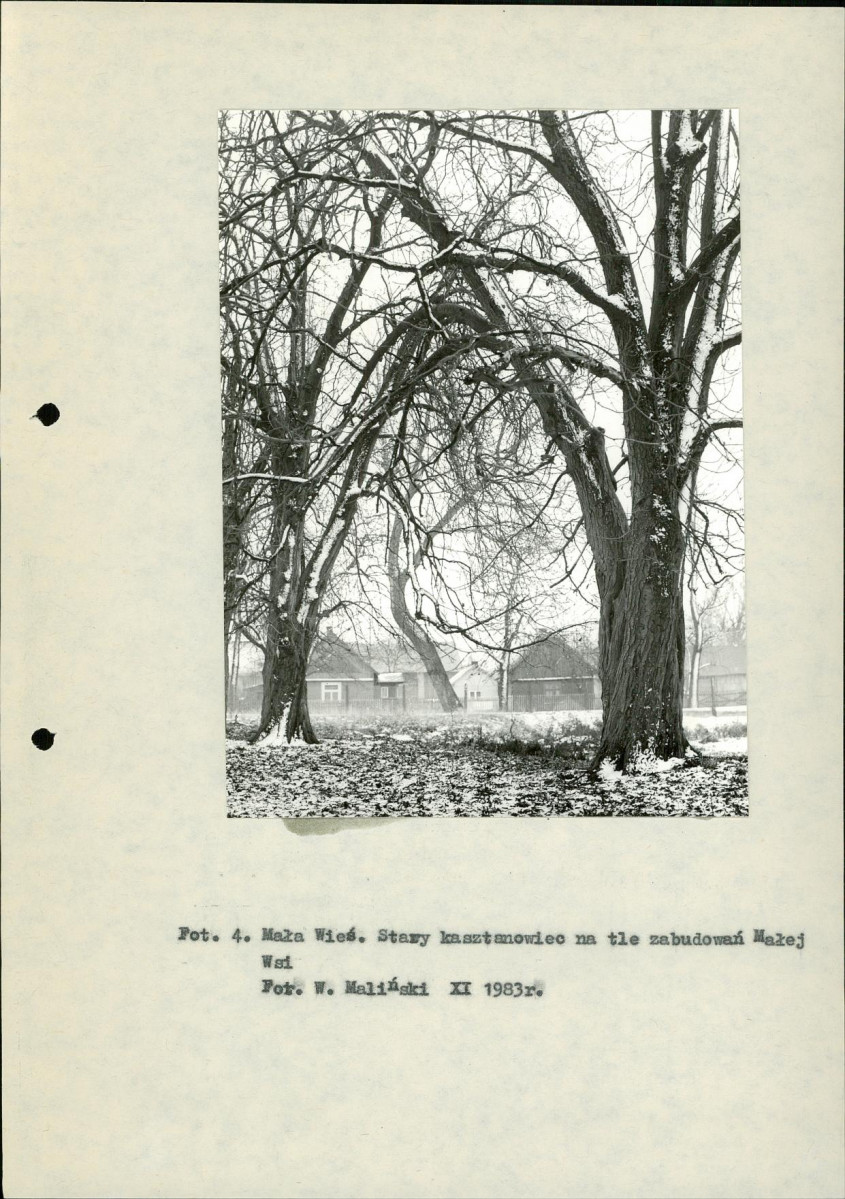 Ewidencja parkowa, skan nr 13