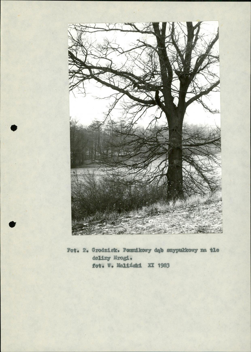 EP - Ewidencja parkowa, skan nr 12