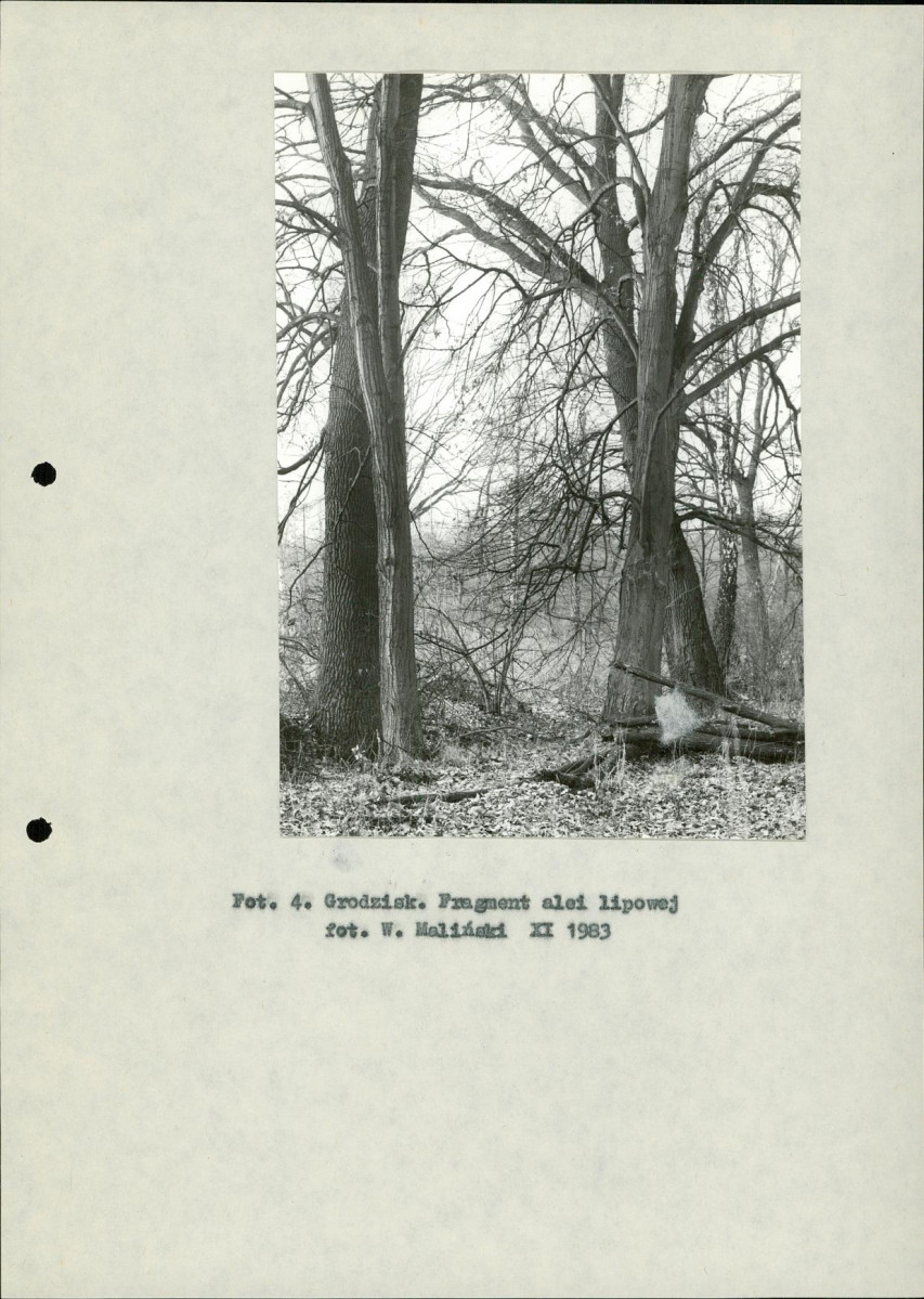 EP - Ewidencja parkowa, skan nr 14