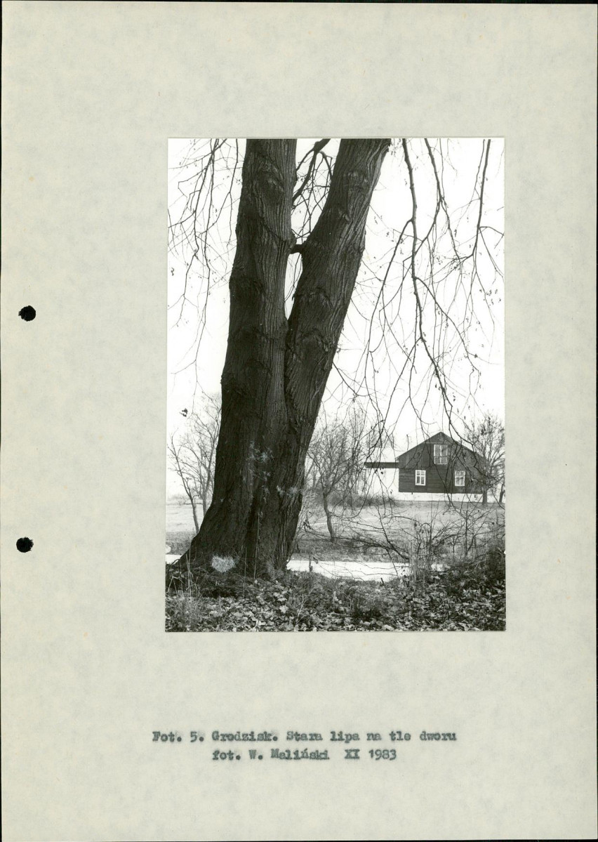EP - Ewidencja parkowa, skan nr 15