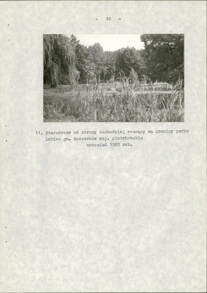 Ewidencja parkowa, skan nr 18