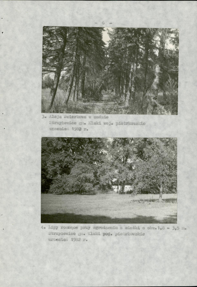 Ewidencja parkowa, skan nr 14