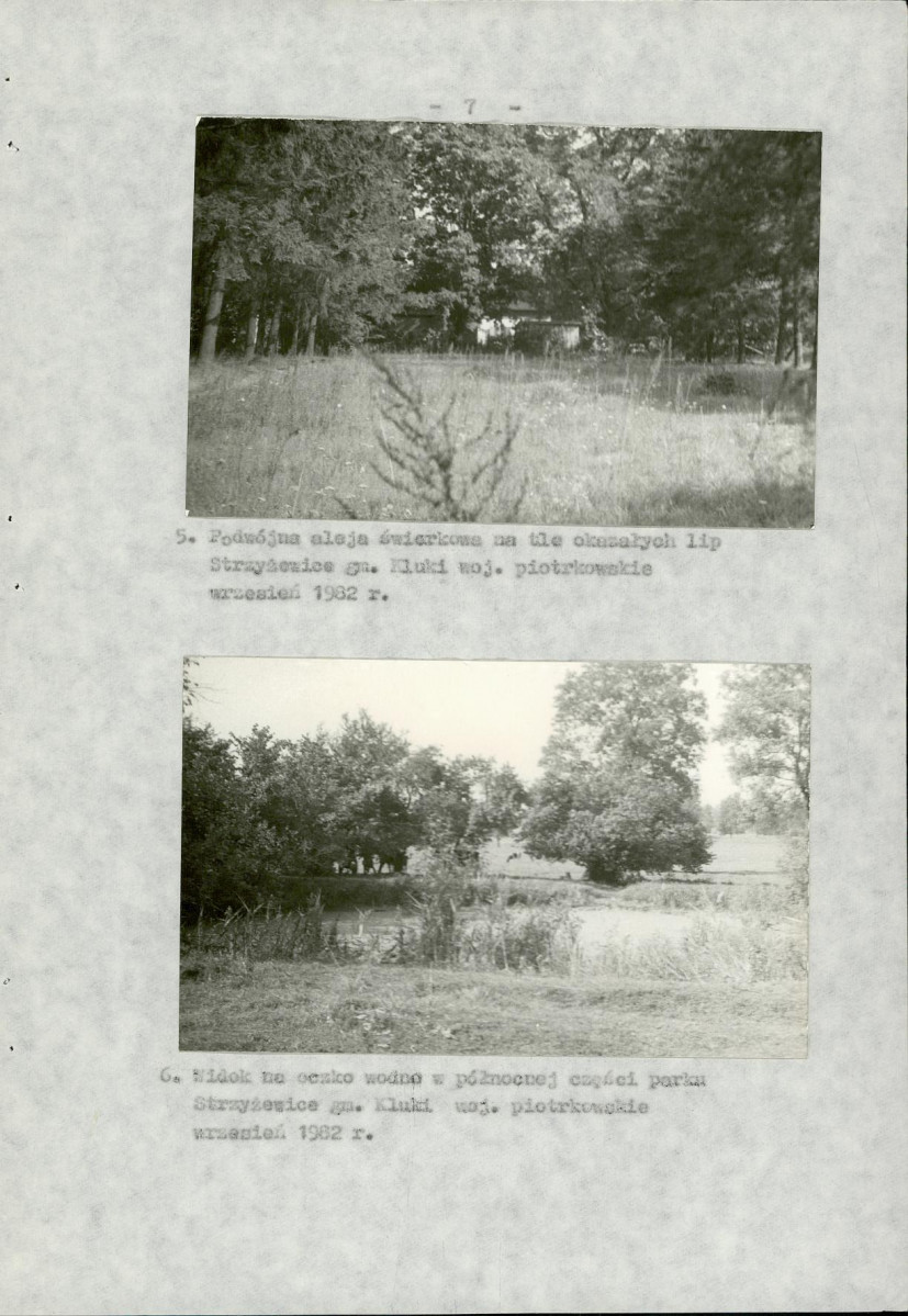 Ewidencja parkowa, skan nr 15