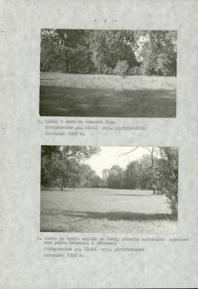 Ewidencja parkowa, skan nr 16
