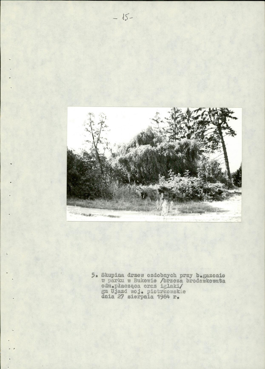 EP - Ewidencja parkowa, skan nr 24