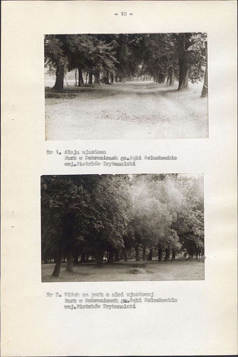 EP - Ewidencja parkowa, skan nr 21
