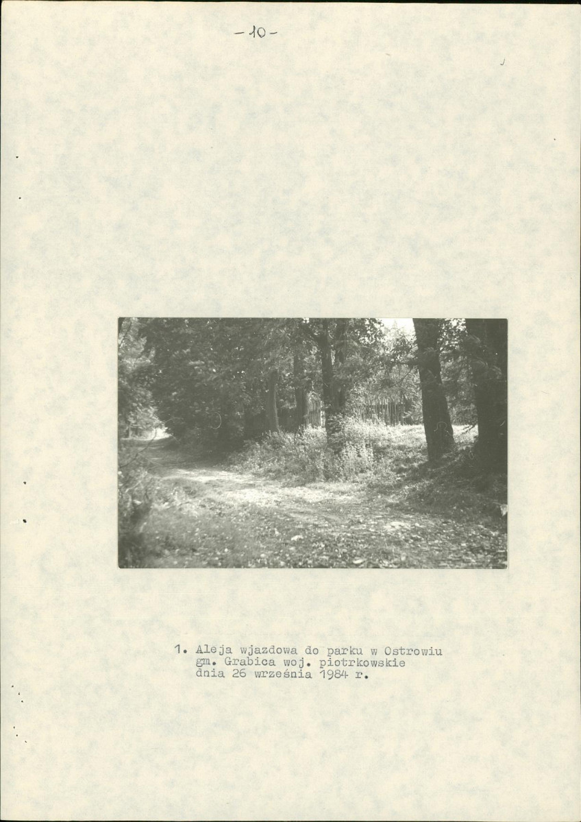 EP - Ewidencja parkowa, skan nr 19