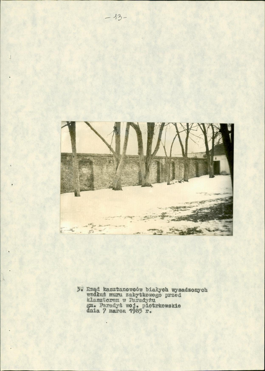 Ewidencja parkowa, skan nr 21