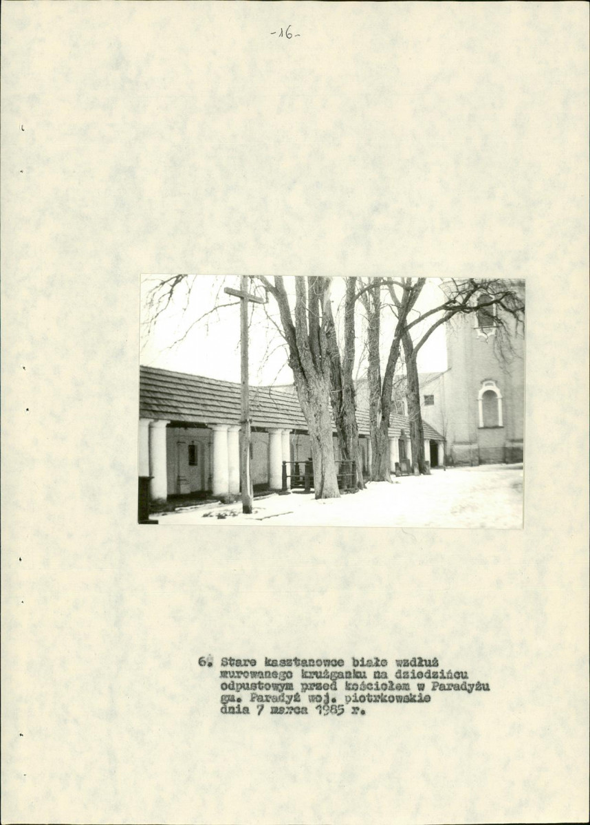 Ewidencja parkowa, skan nr 24