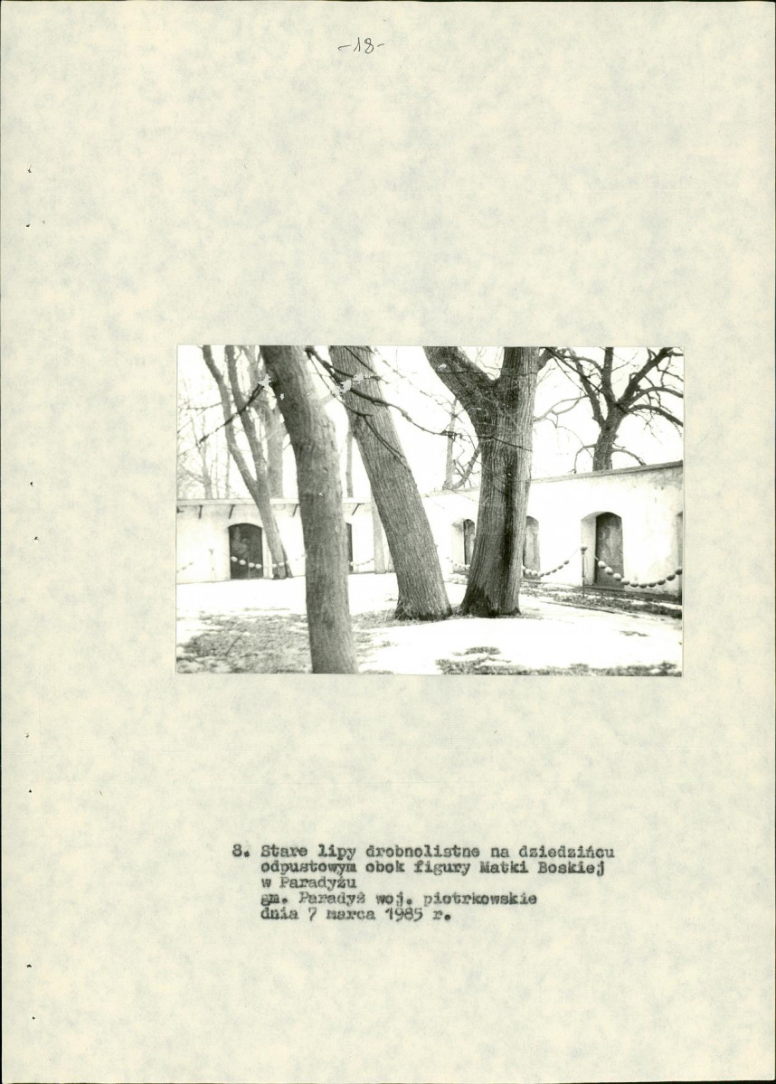 Ewidencja parkowa, skan nr 26