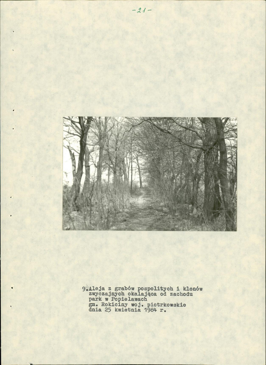 EP - Ewidencja parkowa, skan nr 26