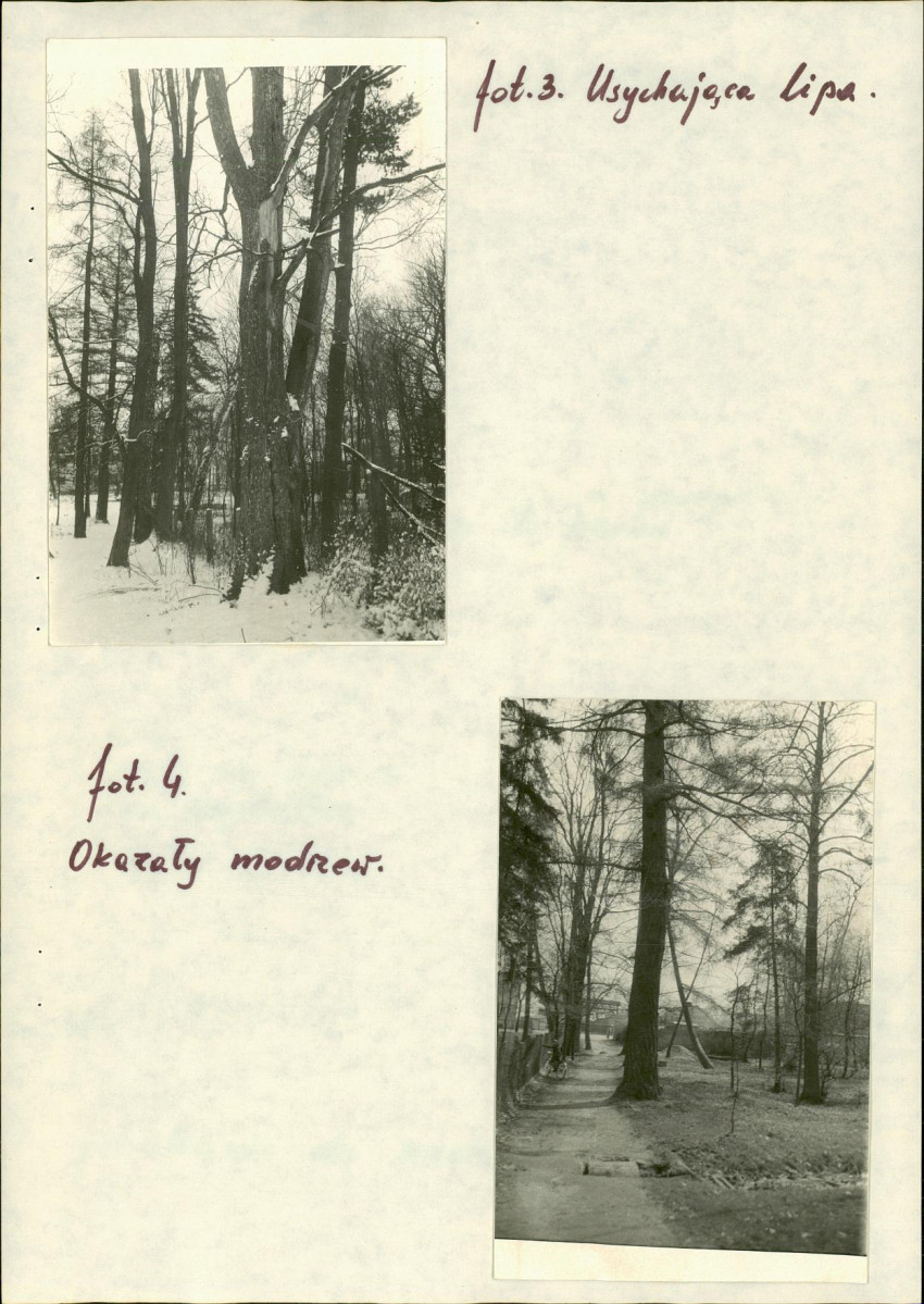 EP - Ewidencja parkowa, skan nr 16