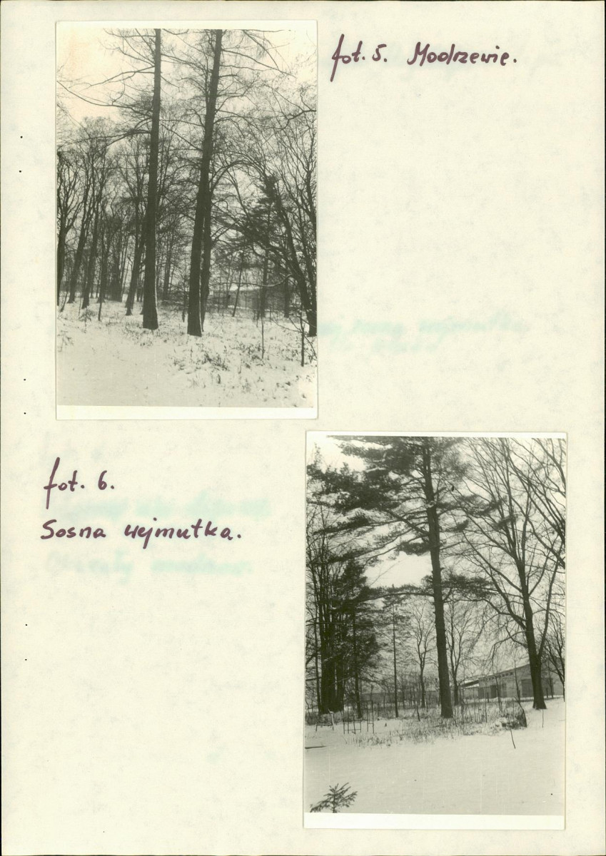 EP - Ewidencja parkowa, skan nr 17