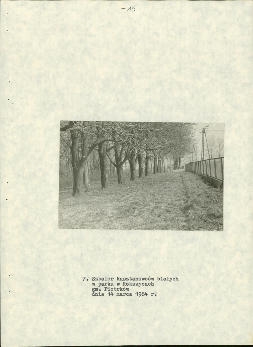 EP - Ewidencja parkowa, skan nr 24
