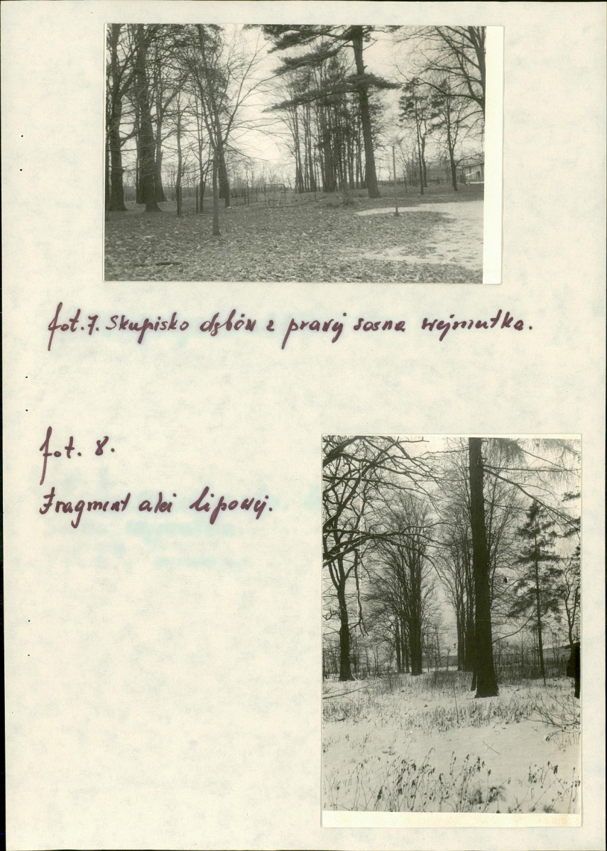 EP - Ewidencja parkowa, skan nr 18