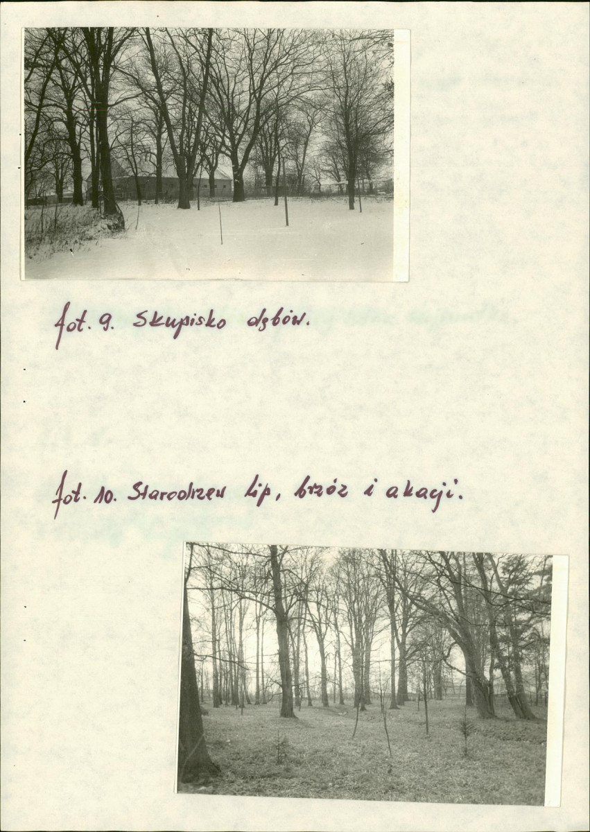 EP - Ewidencja parkowa, skan nr 19