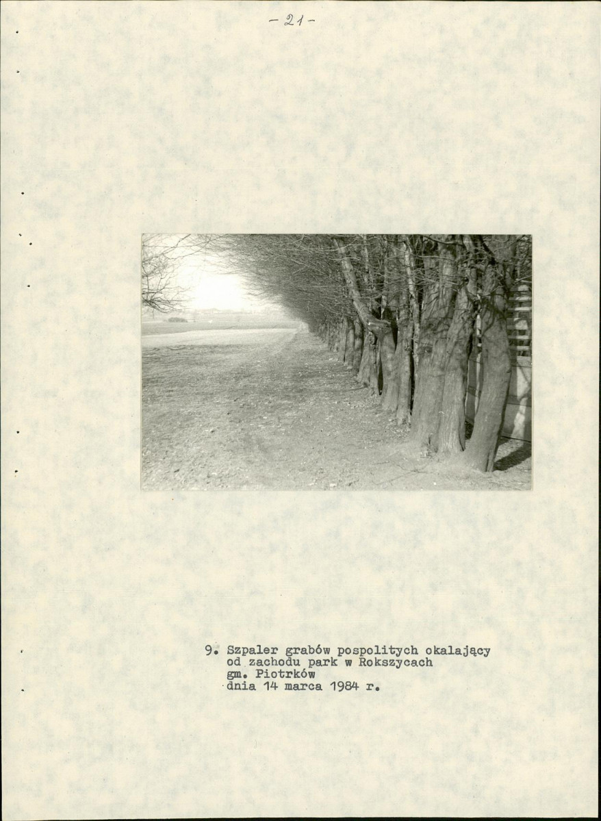 EP - Ewidencja parkowa, skan nr 26