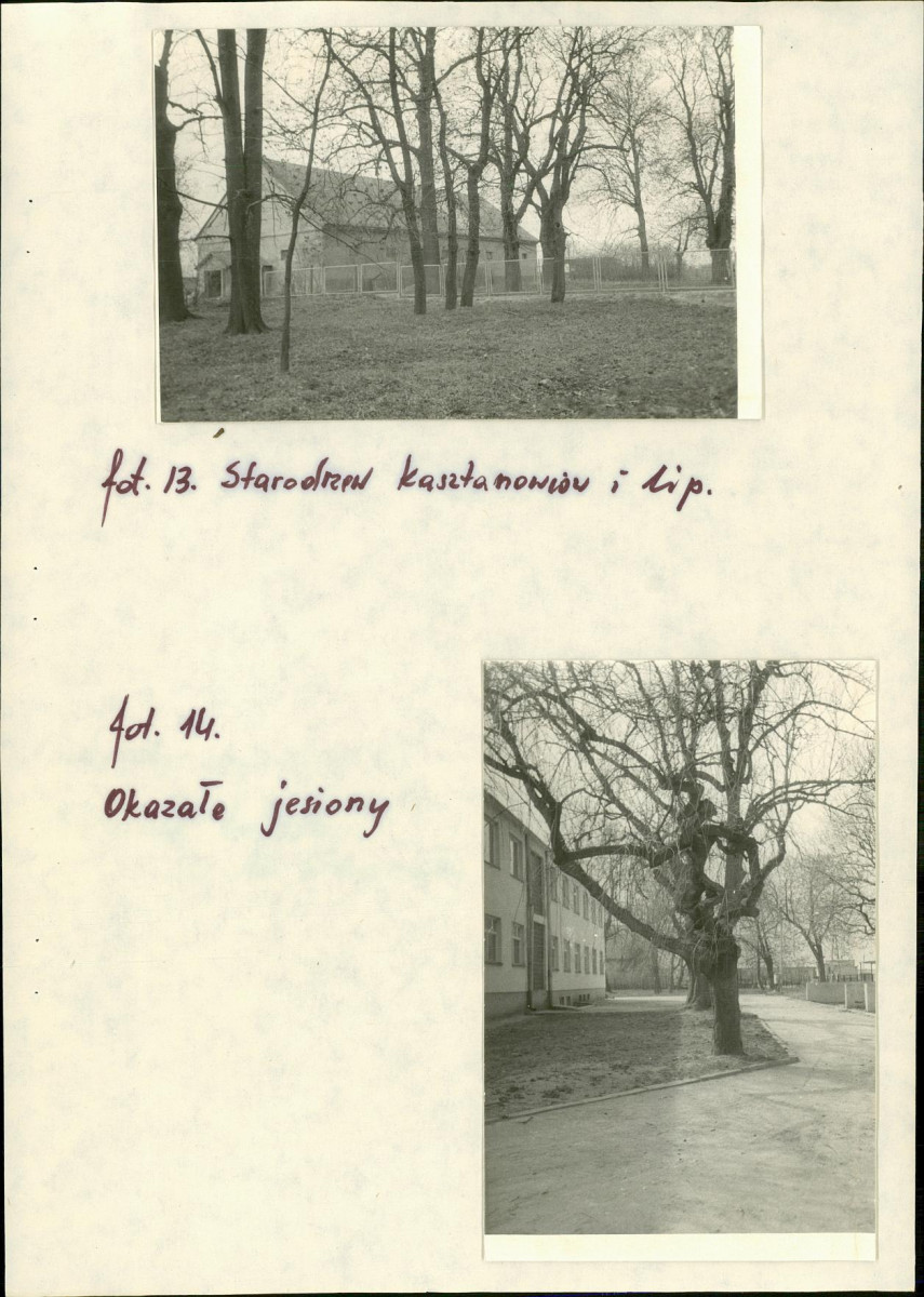 EP - Ewidencja parkowa, skan nr 21