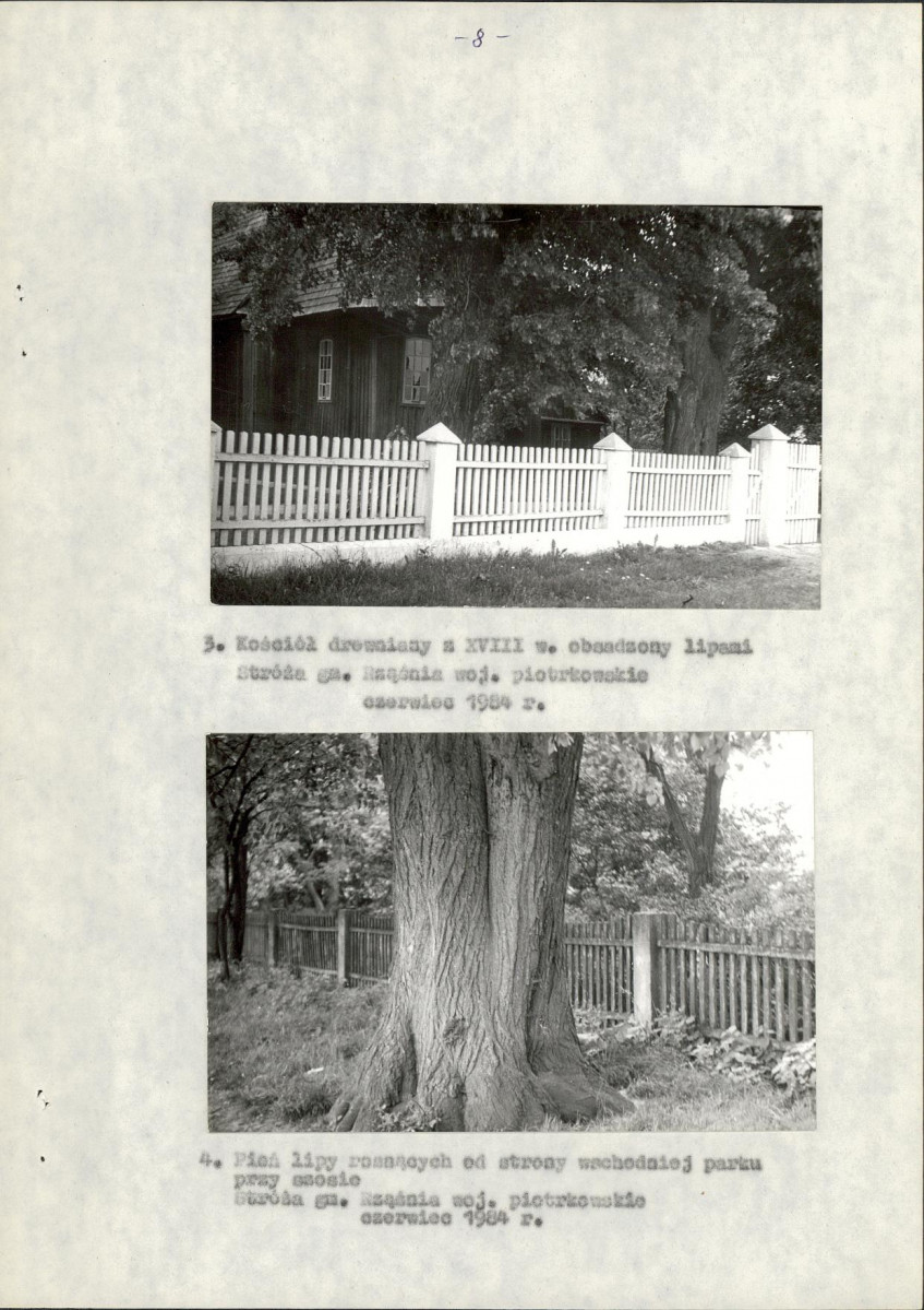 Ewidencja parkowa, skan nr 16