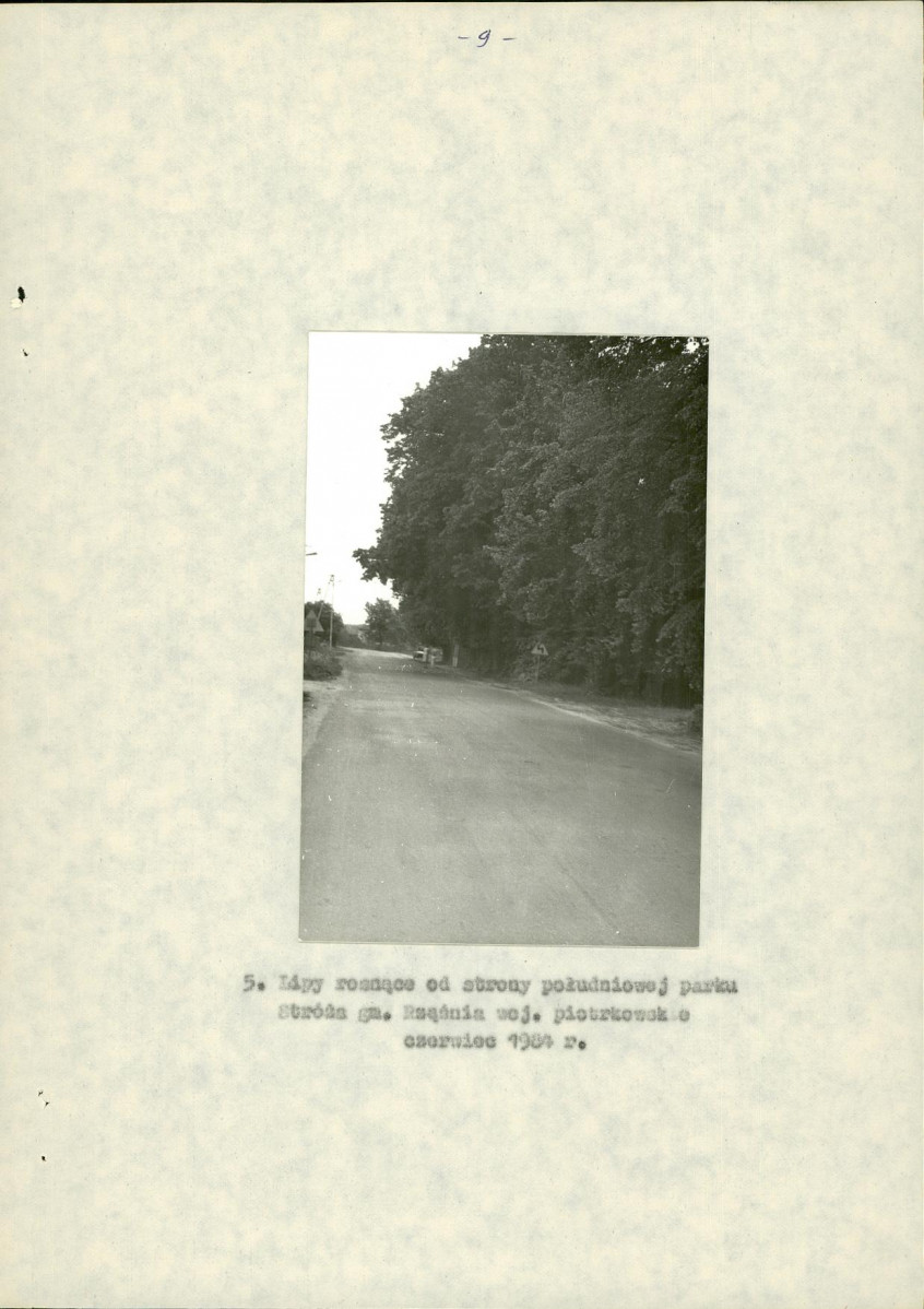 Ewidencja parkowa, skan nr 17
