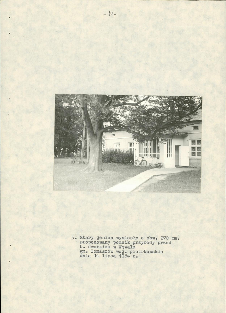 EP - Ewidencja parkowa, skan nr 19